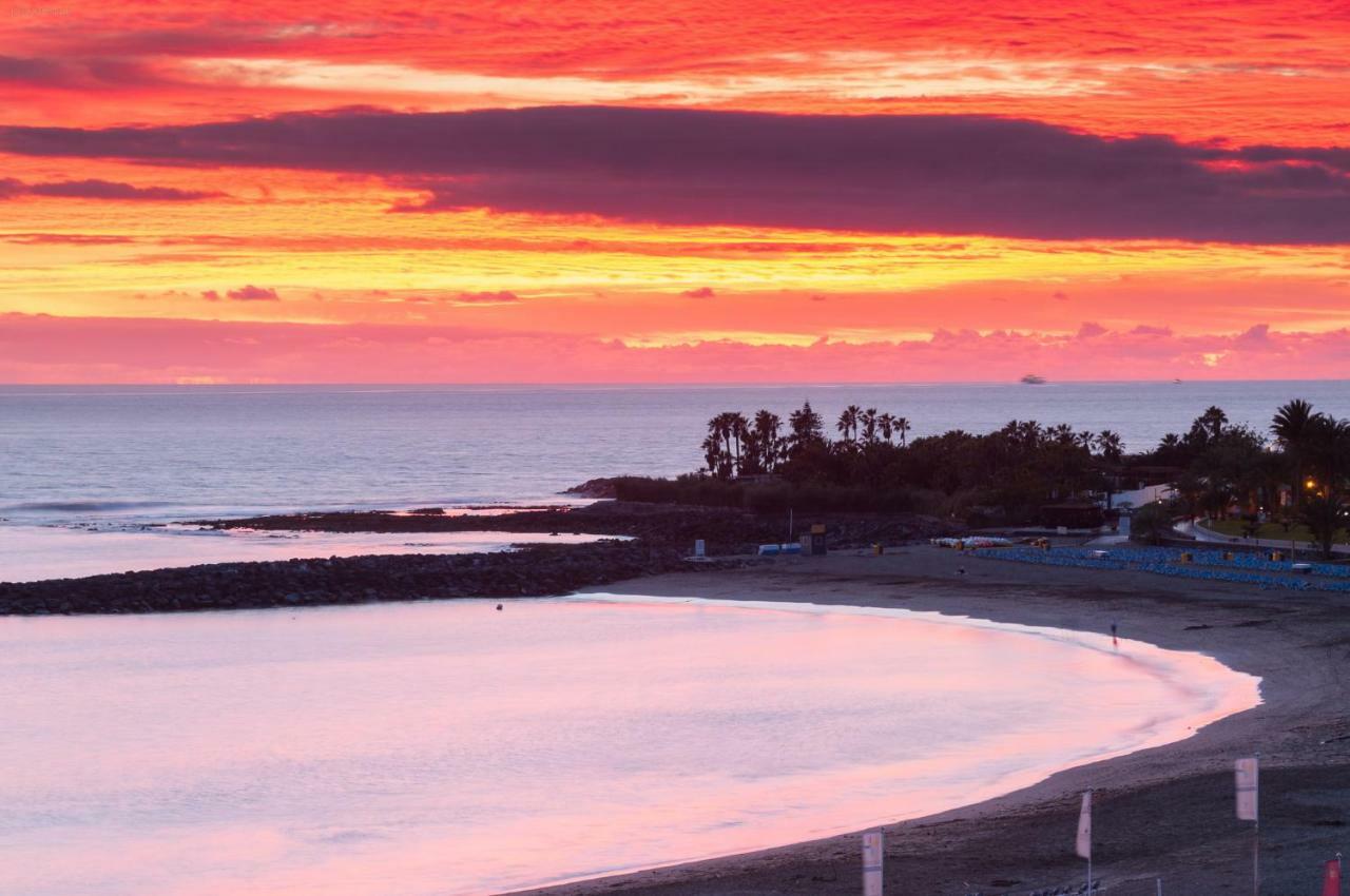 Amazing Beach Views Tenerife أرونا المظهر الخارجي الصورة